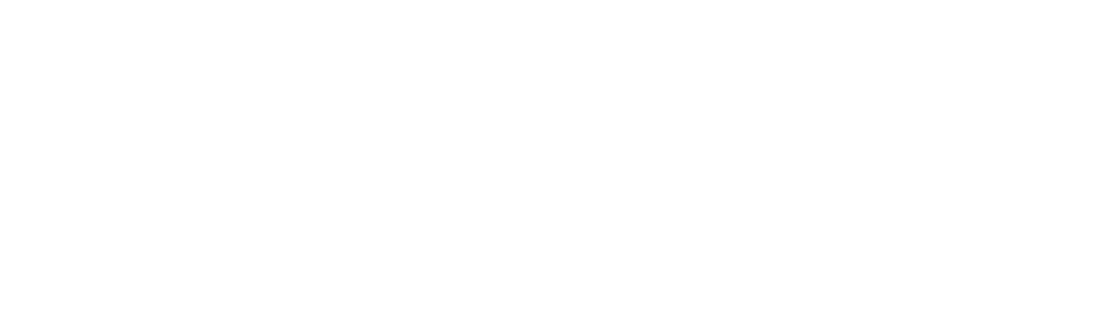 phonezone-whote